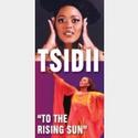 Queens Theatre in the Park Presents Tsidii: To the Rising Sun 10/24