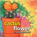 Lois Robbins To Star In Capital Rep's CACTUS FLOWER, Previews 10/22 Video