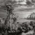 THE EVERGLADES: VANISHING SPLENDOR On view at Central Park's Arsenal Gallery Video
