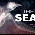 Goodman Theatre Extends Robert Falls' THE SEAGULL Thru 11/21 Video