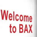 BAX/Brooklyn Arts Exchange Announces Performances And Discussions  Video