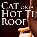 Raven Theatre Extends Cat on a Hot Tin Roof 1/1-15 Video