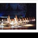 Northrop Presents Voronezh State Ballet Theatre of Russia 2/3/2011 Video