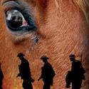 Cast of 35 Announced for WAR HORSE on Broadway!