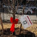 Bryant Park Corp & 34th Street Partnership Support Park Landscaping & Maintenance