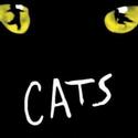 Surfside Players Presents CATS Jan. 14-30