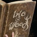 The Barn Jr. Opens INTO THE WOODS Jan. 7 Video