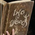 INTO THE WOODS Opens At The Barn Players 1/7 Video