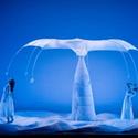 MOMIX Brings Seasons to Life in Botanica at Kingsbury Hall 1/22