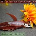 The Shorebound Swim with a One Click Kick Plays Frigid 2/24-3/6 Video