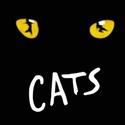 New Candlelight Theatre Presents CATS Video