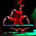 THE PEKING ACROBATS Comes To The Van Wezel 2/11