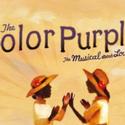 THE COLOR PURPLE Returns To PlayhouseSquare's Palace Theatre Video