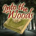 Stocking Productions to Hold Auditions for Into the Woods 2/23 Video