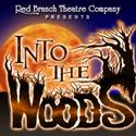 Red Branch Theatre Company Presents INTO THE WOODS 3/25-4/9 Video