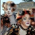 Photo Flash: CATS Returns to Germany!