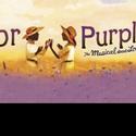 THE COLOR PURPLE With Lil' Mo Plays National Theatre 4/12-24 Video