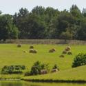 Castleton Festival Announces Casting & Programs for 2011