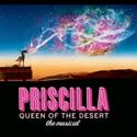 PRISCILLA QUEEN OF THE DESERT Featured On NY-1 On Stage This Weekend  Video