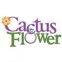 Meet the Cast of CACTUS FLOWER Day 3: Maxwell Caulfield Video