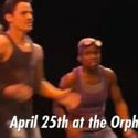 STOMP Auditions Held in New York City 4/25 Video