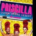 Magnolia Unveils Official Cupcake For PRISCILLA QUEEN OF THE DESERT  Video