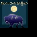 Davidson Community Players Host Auditions For MOON OVER BUFFALO Video