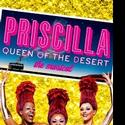 PRISCILLA QUEEN OF THE DESERT Introduces VIP Concierge Service Video