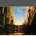 Chicago Shakespeare Theater Presents One Thousand and One Nights