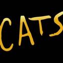 The Artist Series Presents CATS, 6/17 - 6/19
