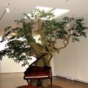 Focused Survey of Installation Art by Biggers Held at Brooklyn Museum Video