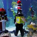 SEA LIFE Carlsbad Honors World Oceans Day with Seussian Celebration Video