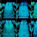 AMNH Exhibit To Showcase Advanced Imaging Technologies, Opens June 25