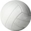 Gladstone Parks Hosts Developmental Youth Volleyball League - Fall 2011