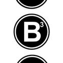 B Street Announces 2011-12 B3 Series Line Up, Begins With RED Video