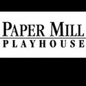 Students from YOUR TOWN Featured at Paper Mill Playhouse Video