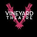 Sarah Stern Announced As co-Artistic Director of Vineyard Theatre Video