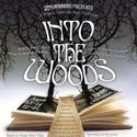 Playhouse South Announces INTO THE WOODS 8/12-21 Video