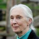 JANE'S JOURNEY the Portrait of Jane Goodall Opens September in NY and LA Video
