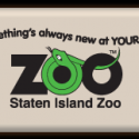 Staten Island Zoo Hosts Groundhog Day Prediction, 2/2 Video