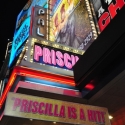 UP ON THE MARQUEE: PRISCILLA, QUEEN OF THE DESERT Complete!