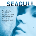Marin Theatre Company Presents THE SEAGULL, 1/27-2/20 Video