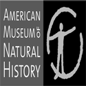 American Museum of Natural History Remains Open Today