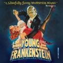 YOUNG FRANKENSTEIN Tour Plays Capitol Theatre, 4/26-5/1 Video