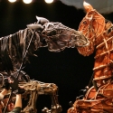 Previews Begin Tomorrow for WAR HORSE!