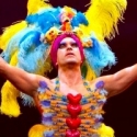 Photo Flash: Exclusive First Look at PRISCILLA QUEEN OF THE DESERT THE MUSICAL Video