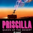 PRISCILLA QUEEN OF THE DESERT's James Brown lll Debuts Fashion Line on Opening Night Video