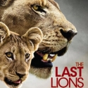 'The Last Lions' Film Comes to Civic Theatre, 3/25
