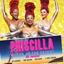 PRISCILLA QUEEN OF THE DESERT Cast to Perform at Barnes & Noble, 4/7 Video