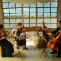 Momenta Quartet Plays WP Concert Hall, 4/5 Video